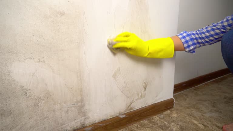 Best Biohazard Mold Removal  in West Salem, WI