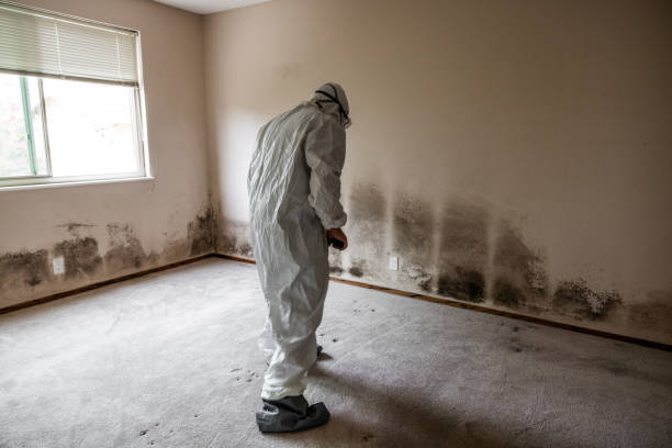 Mold Documentation for Insurance Claims in West Salem, WI